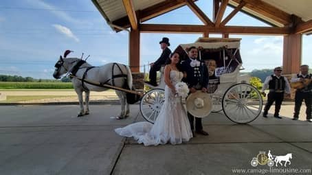 Newlyweds posing with the Victorian Carriage at their reception in Oberlin, OH