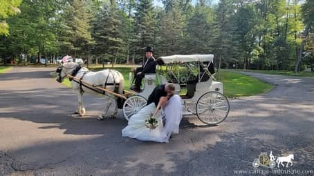 Wedding couple photo shoot with the Victorian Carriage at Landoll's Castle in Loudonville, OH