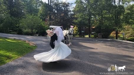 Bride and groom during their post-wedding photo shoot with the Victorian Carriage at Landoll's Castle in Loudonville, OH