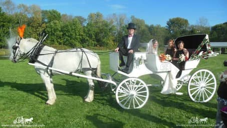 The bride and bridesmaids in our Victorian Carriage after the wedding at Waters Edge in Louisville, OH