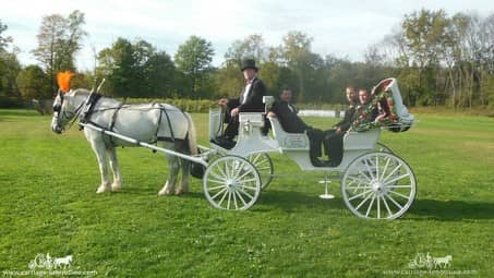 The groom and groomsmen in our Victorian Carriage after the wedding at Waters Edge in Louisville, OH