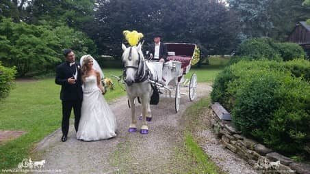 The couple posing with our Victorian Carriage after their wedding in Sewickley, PA