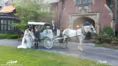 The newlywed couple with our Victorian Carriage at Stan Hywet Hall in Akron, OH