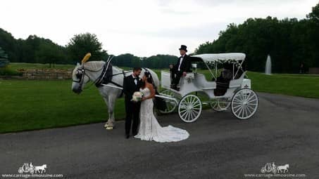 Bride and groom posing with the carriage after the ceremony in Warren OH