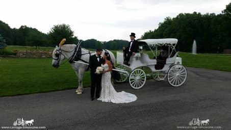 Bride and groom posing with our Victorian Carriage after the ceremony in Warren, OH