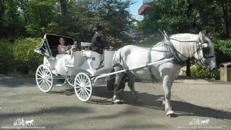 The bride ready for her grand carriage entrance at Landoll's Castle