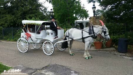 The couple going for a ride after their ceremony at Phipps Conservatory in Pittsburgh, PA