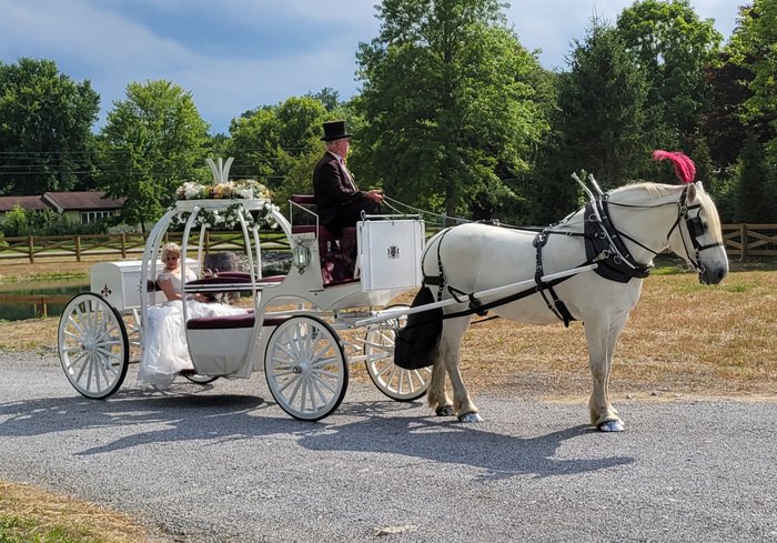 Our Cinderella Carriage before a in Champion, OH