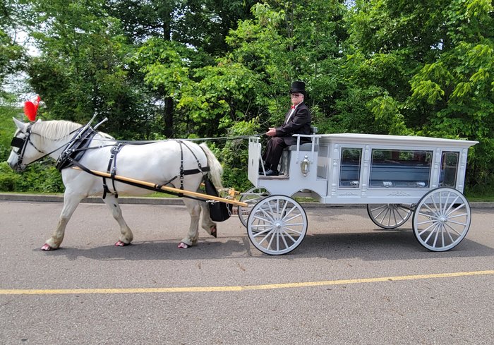 Our one of a kind horse drawn funeral coach during a funeral in Middleburg, OH