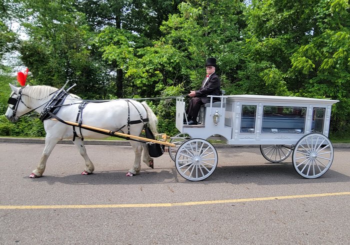  Our one of a kind horse drawn funeral coach during a funeral in Middleburg, OH