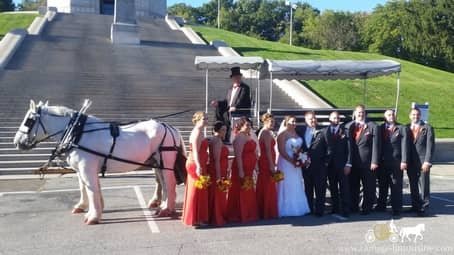  Our one of a kind Limousine Horse Drawn Carriage at a wedding in Canton, OH